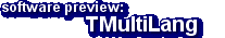 software preview: TMultiLang